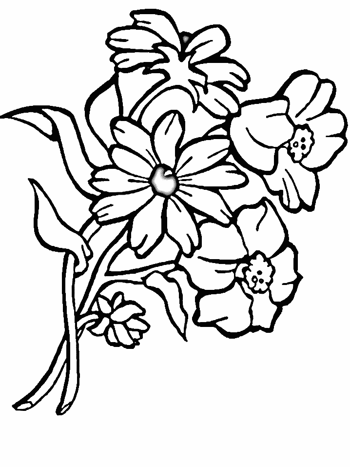 Раскраски Букет цветов - Смотрите, скачивайте, и распечатывайте лучшие варианты раскрасок