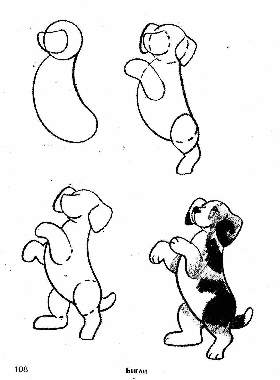 Как нарисовать животных - поэтапная инструкция для детей и взрослых. рекомендации, как правильно работать с карандашом