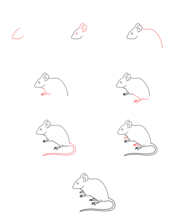Как нарисовать мышку и крысу поэтапно: 7 вариантов рисования мышки карандашом легко и красиво