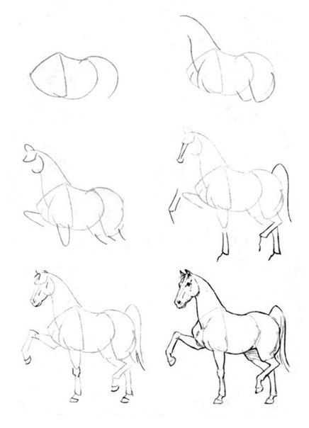 Как нарисовать лошадь (74 фото): поэтапная инструкция рисования карандашами и красками
