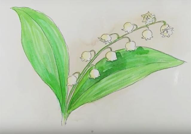 Рисунок «цветок» для детей и начинающих пошагово с фото и видео. как нарисовать цветок карандашом, в вазе, в горшке, колокольчик