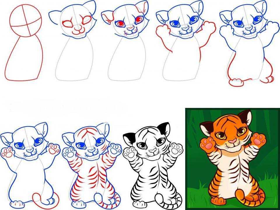 В нашей статье мы покажем несколько способов нарисовать тигра или тигренка Как сделать рисунок тигра, а не рыжего кота в полоску, в чем секрет рисования тигрят