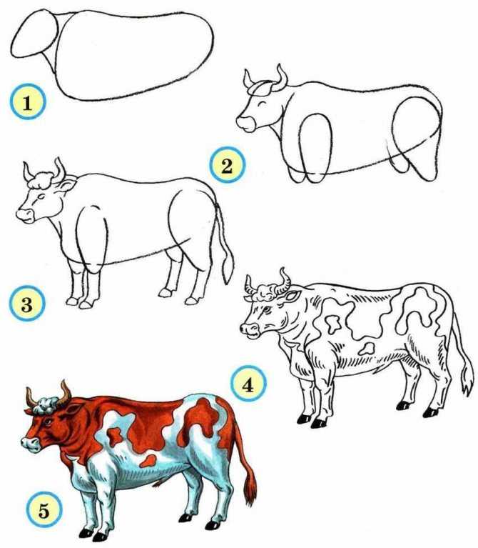 Как нарисовать диких животных поэтапно карандашом. топ вариантов для начинающих