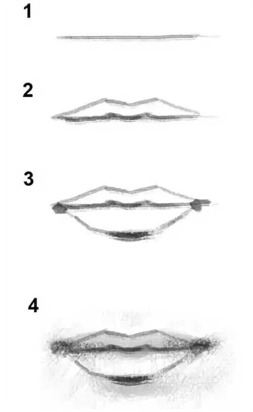 Как нарисовать губы карандашом: изучение структуры и поэтапное создание эскиза для начинающих
