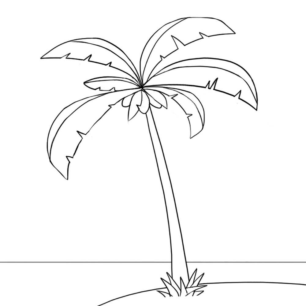 Как нарисовать пальму, как рисовать пальму и рисунок для ребенка поэтапно, как нарисовать пальму и остров