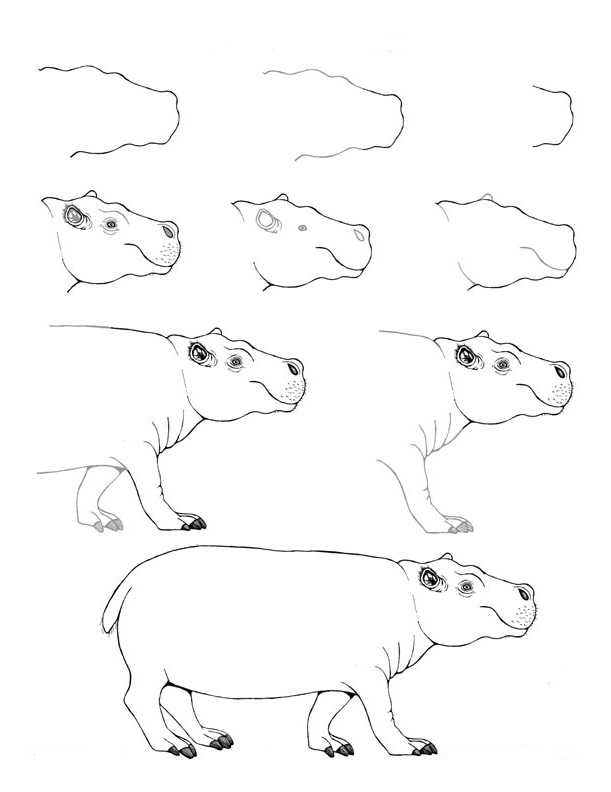 Как нарисовать льва пошагово: легкий мастер-класс для детей, основные этапы создания рисунка карандашом