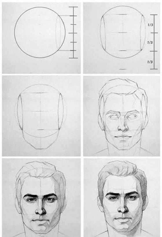 Пропорции лица человека при рисовании портрета: схема. идеальные пропорции лица :: syl.ru