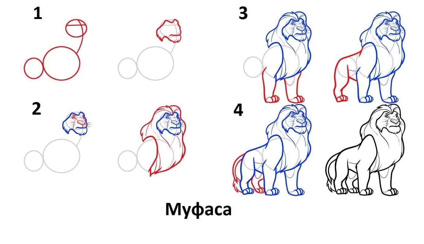 Как нарисовать льва поэтапно карандашом (63 фото) - легкие мастер-классы для детей