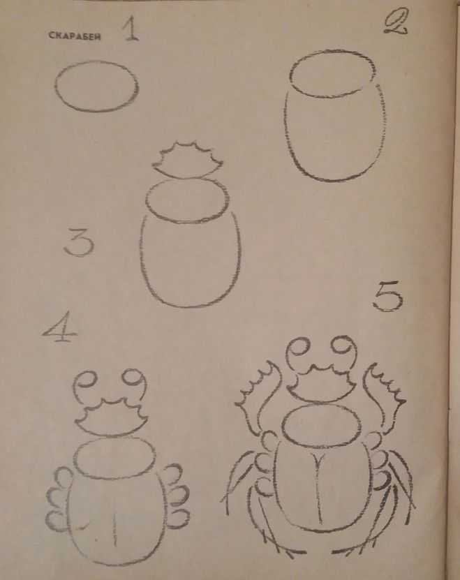 Рисунок жучки из рассказа детство темы. как нарисовать жука карандашом поэтапно. простой жук – поэтапное рисование с детьми насекомых