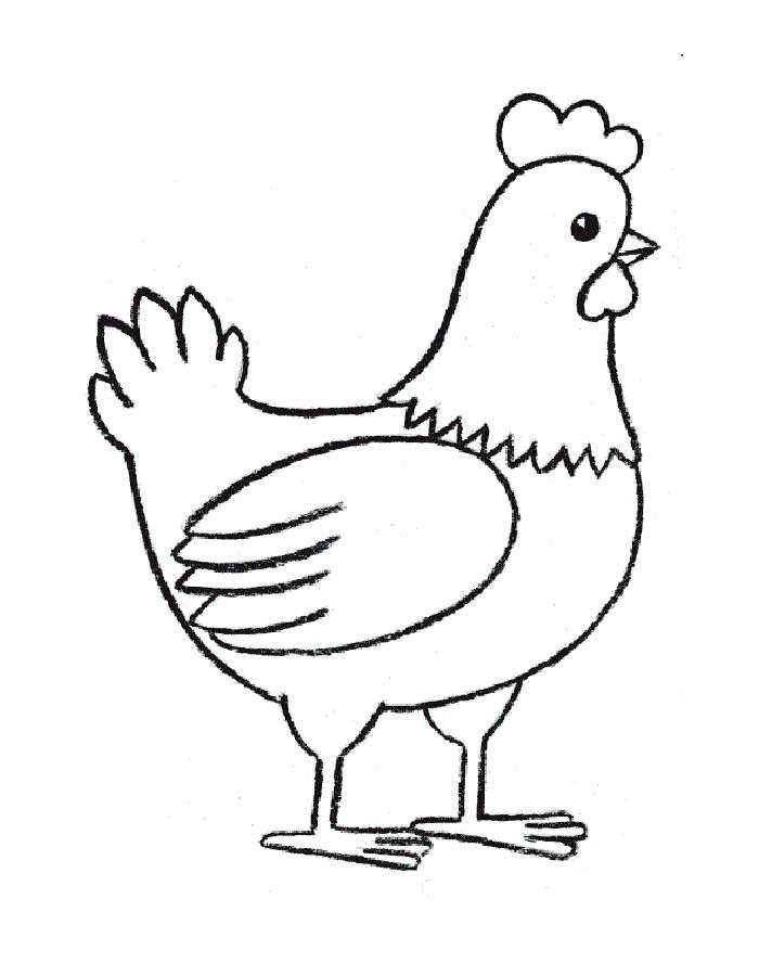 Раскраски курица. лучшие картинки для детей скачивайте и распечатывайте
