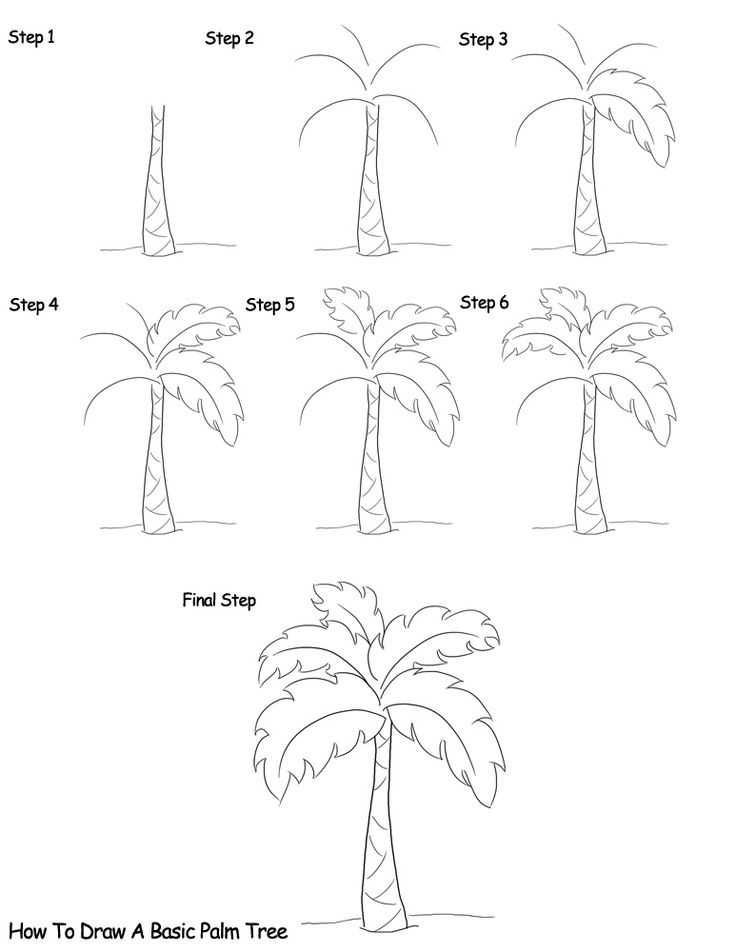 Нарисовать пальму поэтапно, как нарисовать пальму карандашом
