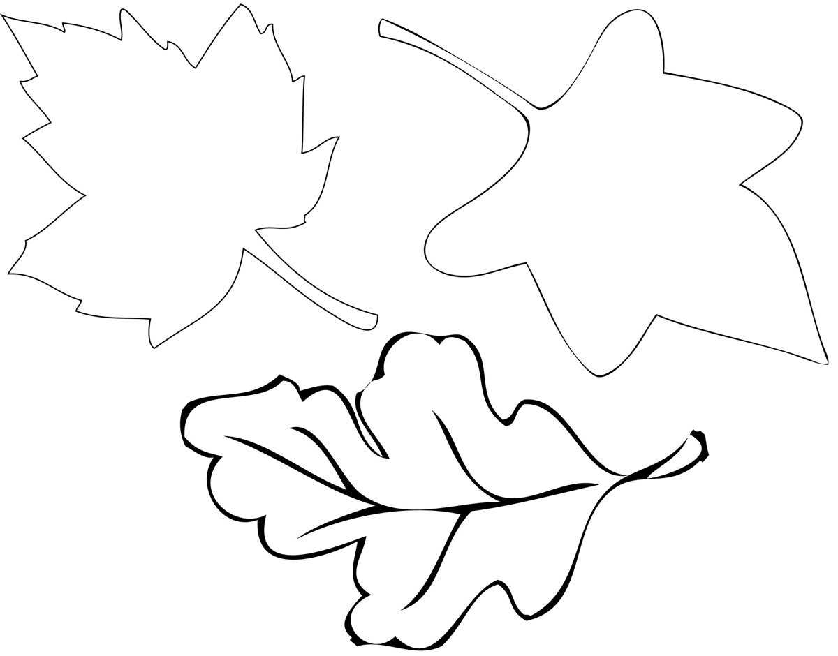 Шаблоны листьев (100 картинок и трафаретов). трафарет кленовый лист распечатать кленовый лист на а4 цветной