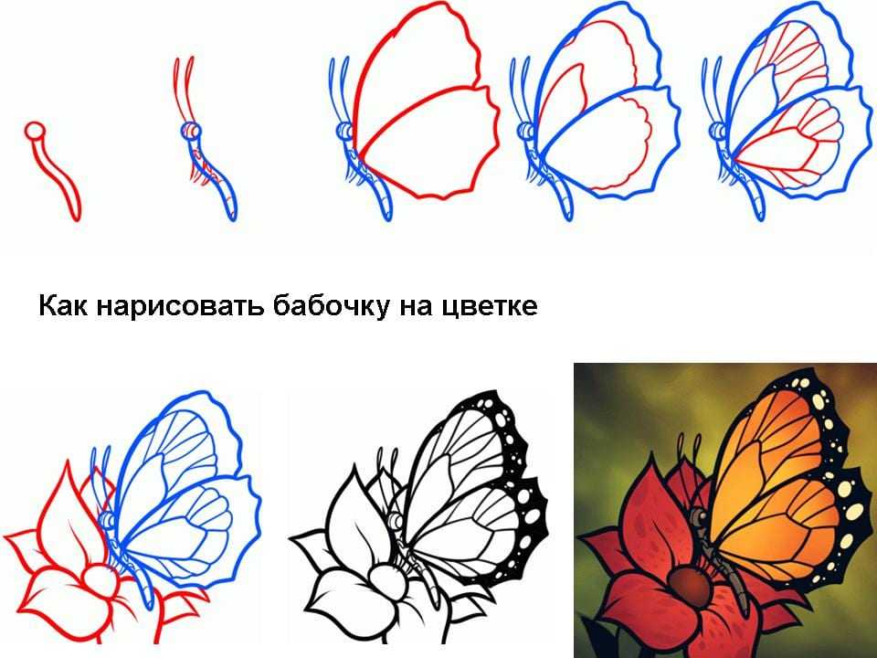 Как нарисовать бабочку: способы создания рисунка, выбор материалов и обзор техник (120 фото и видео)