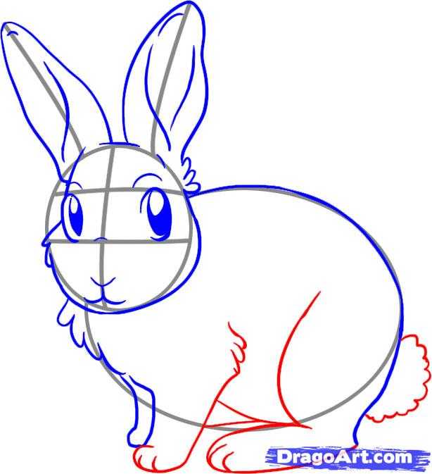 Как нарисовать зайца поэтапно: легкие и простые способы для начинающих. учимся рисовать зайца карандашом и красками