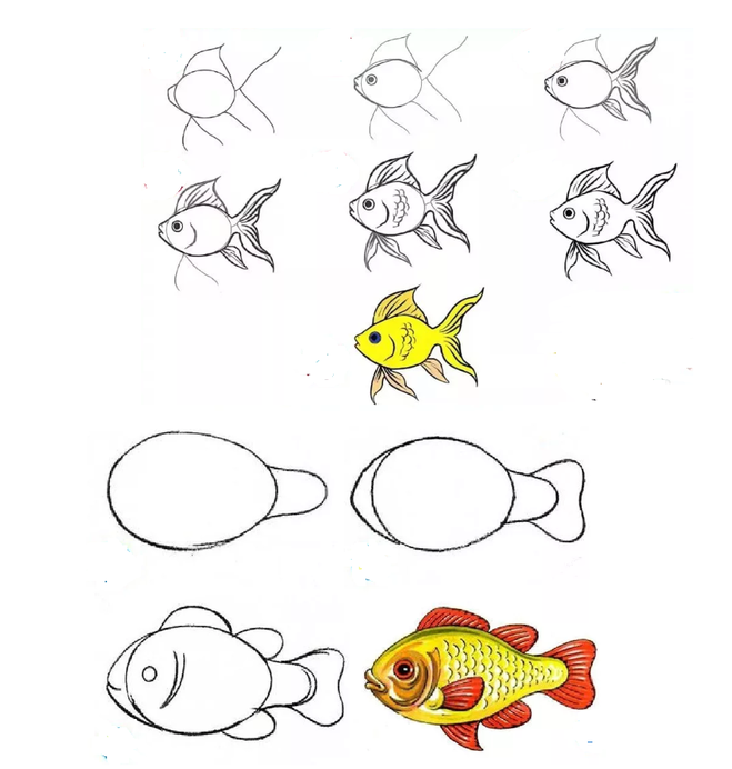 В самом легком варианте рыба выполняется как 2 полукруга с дополнительными элементами – хвостом, плавниками и чешуей Для малышей до 2 лет их количество можно ограничить, чтобы картинка получилась быстрее и проще Простой рисунок, разноцветный, мультяшный,