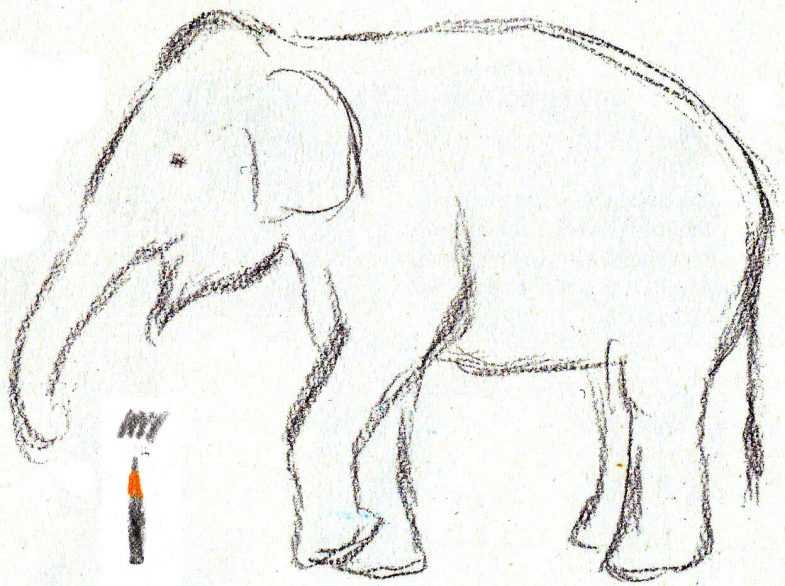 Как нарисовать слона: карандашом поэтапно