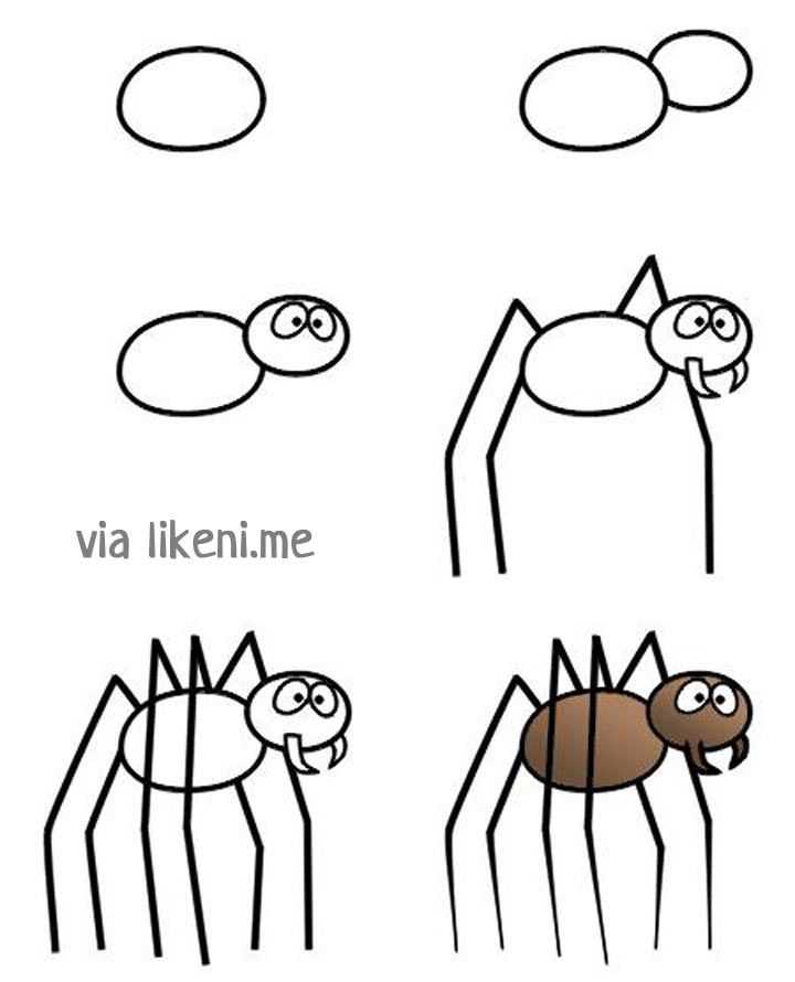 Как нарисовать паутину: этапы, шаги и особенности создания рисунка в виде паутины