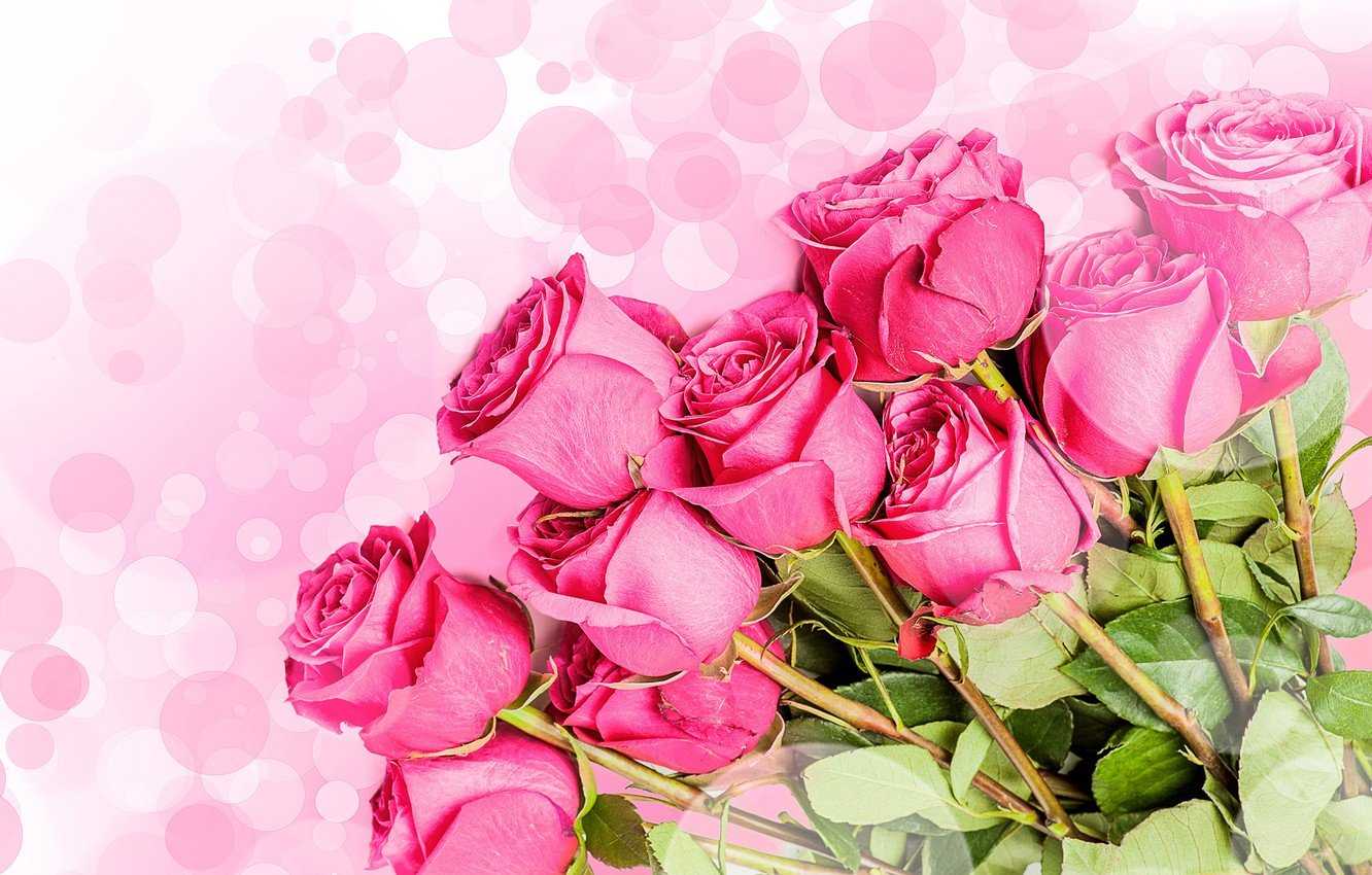 ᐉ открытки цветы красивые букеты с пожеланиями. красивые цветы (55 фото c пожеланиями для любимых) - ufa-prazdnik.ru