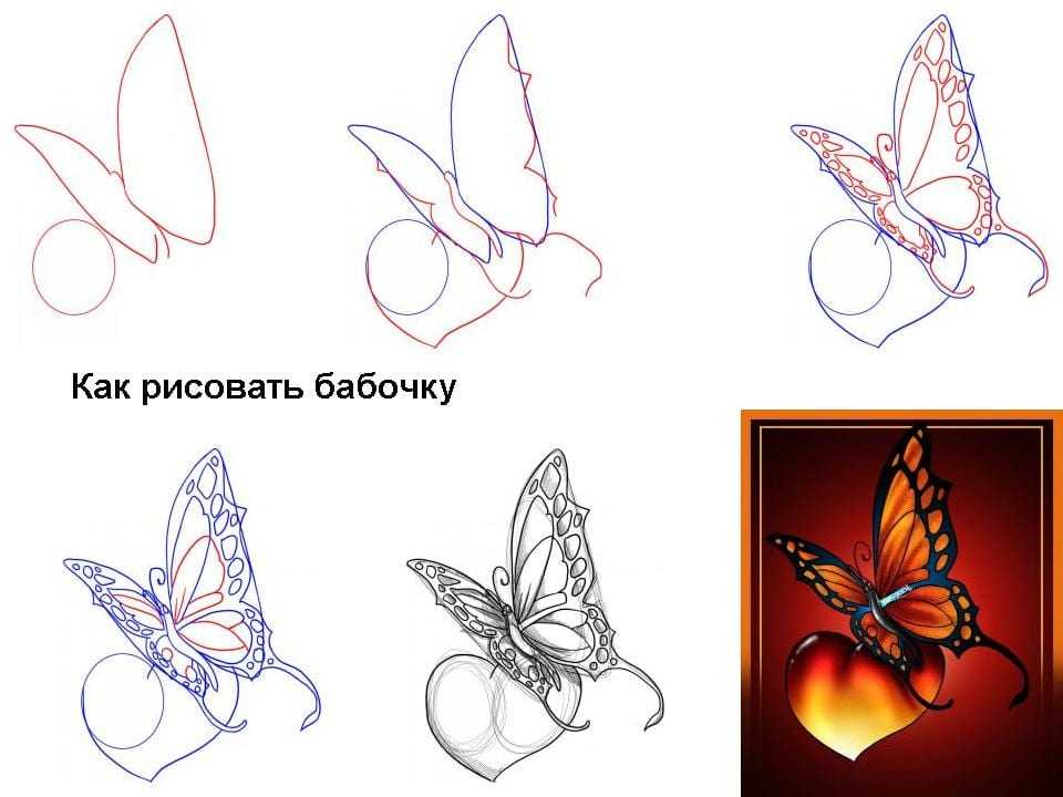 Как рисовать бабочку