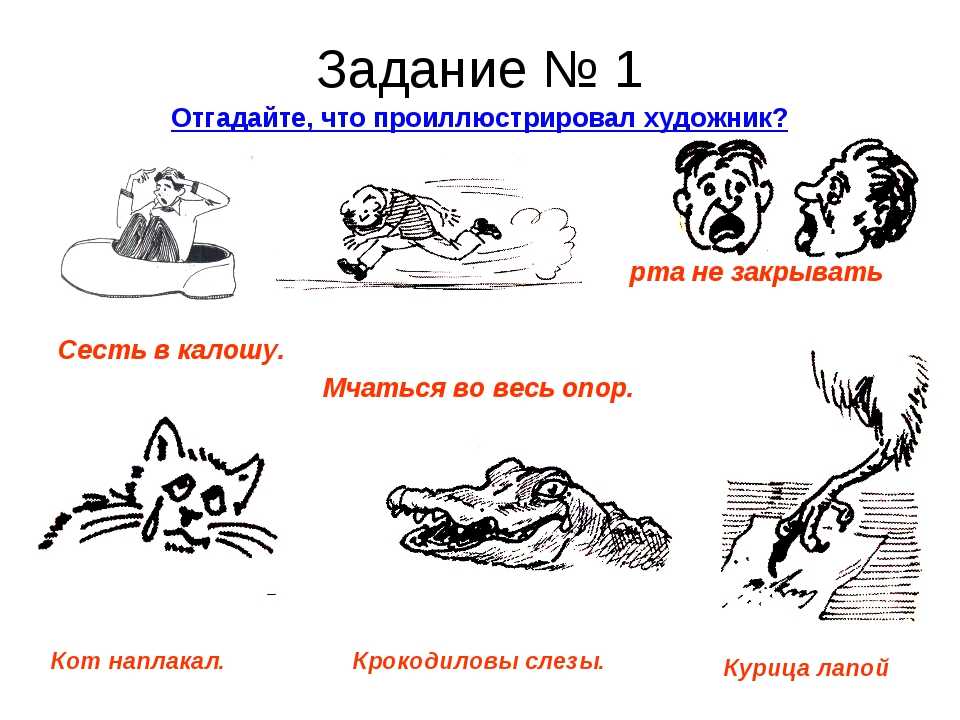 Рисунок по русскому языку фразеологизмы