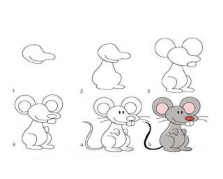 Как нарисовать мышь карандашом: поэтапная инструкция для детей. учимся рисовать мышь быстро и легко своими руками