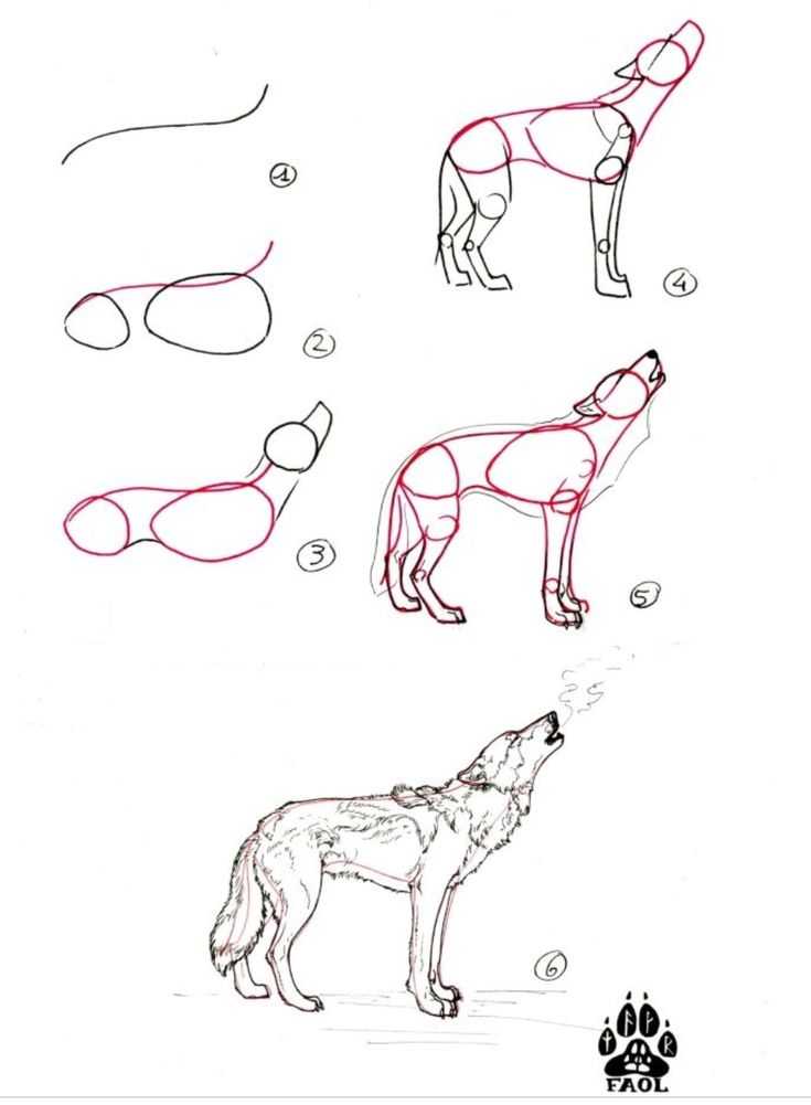 Как нарисовать собаку поэтапно карандашом: создание эскиза и прорисовка всех частей тела