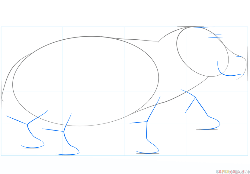 Как нарисовать бегемота для детей