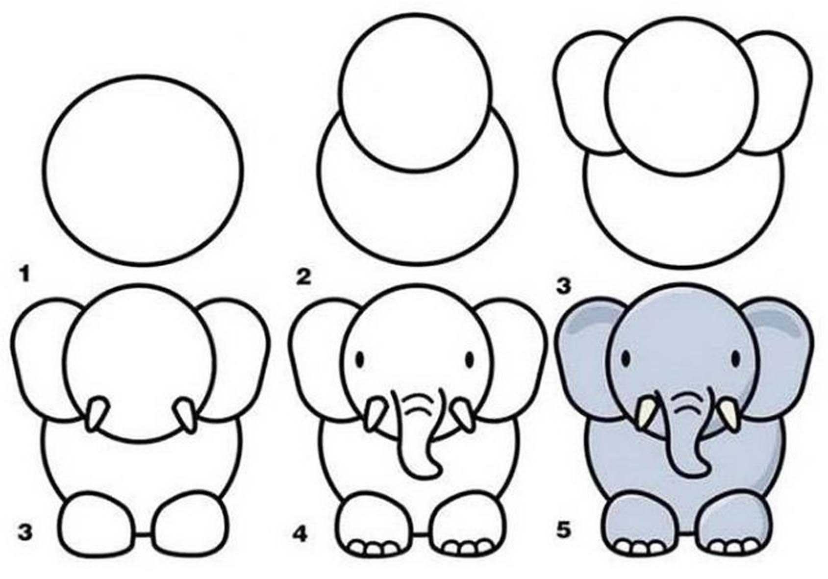 Как нарисовать слона | рисунок слона поэтапно карандашом