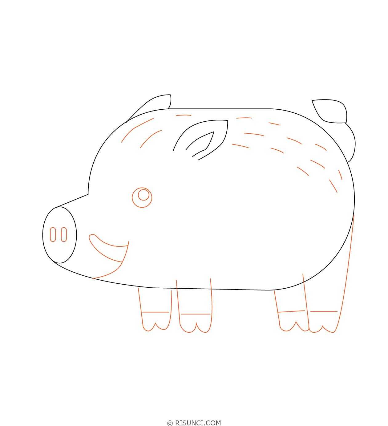 Как рисовать животных: свиньи, дикие кабаны, бородавочники » как рисовать поэтапно. уроки рисования карандашом для начинающих