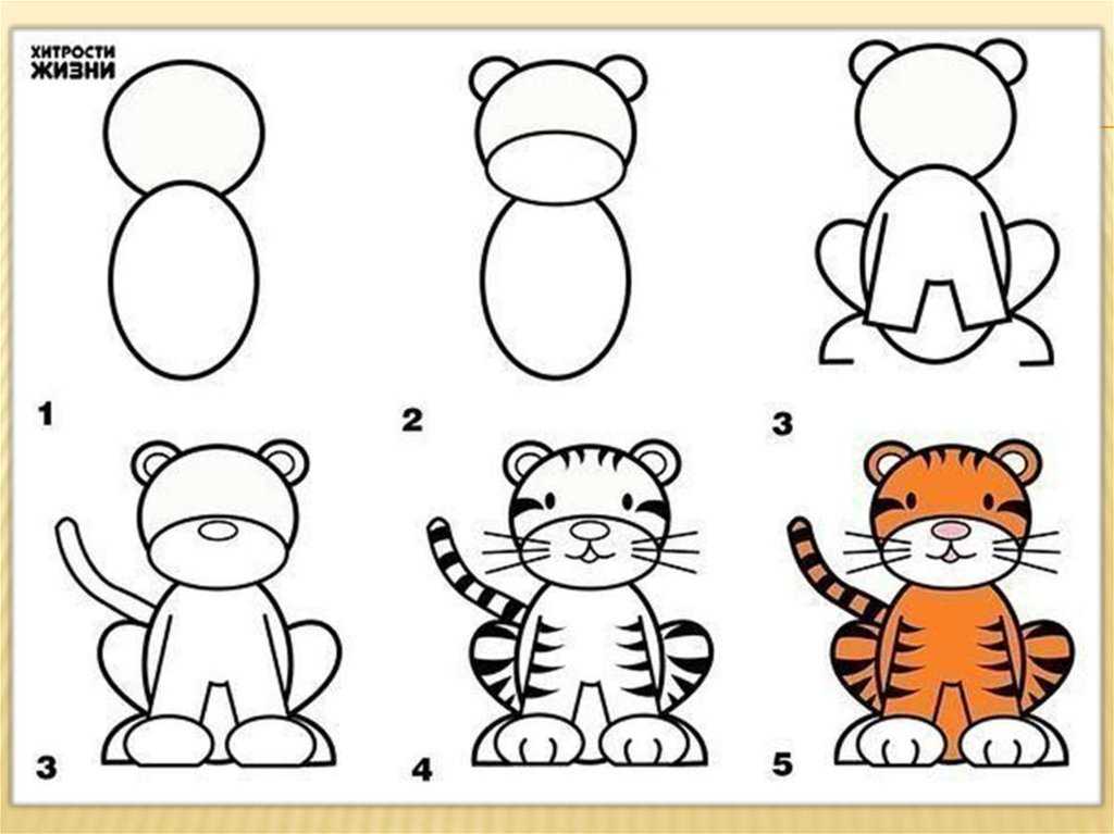 Как нарисовать тигра поэтапно карандашом - особенности, советы, мастер-классы и фото идеи