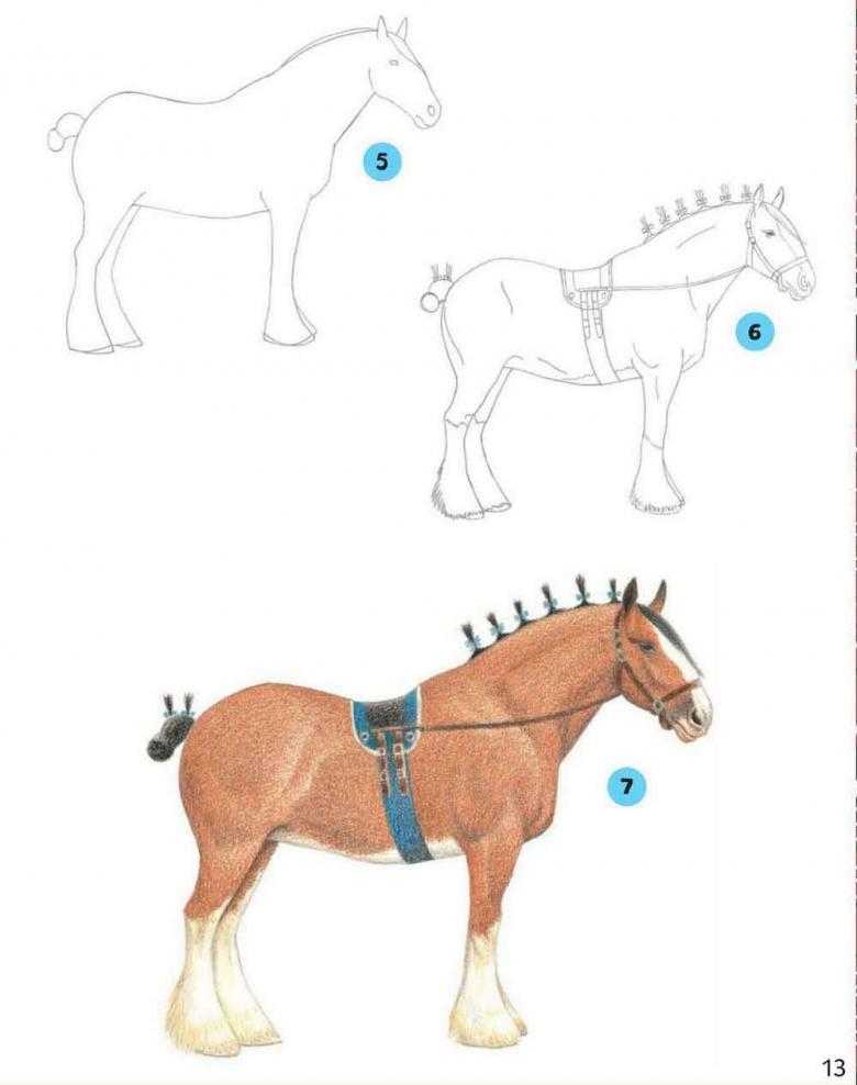Как нарисовать лошадь карандашом поэтапно. учим ребенка рисовать красивую лошадь :: syl.ru