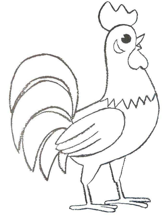 Раскраски курица. лучшие картинки для детей скачивайте и распечатывайте
