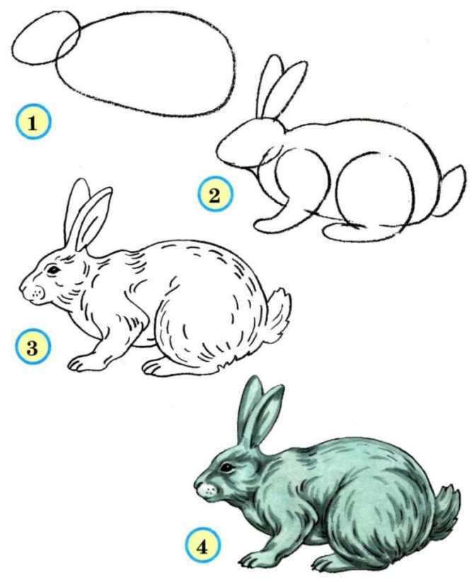 Как нарисовать зайца поэтапно карандашом: легкие и простые варианты рисования зайца для начинающих (120 картинок)