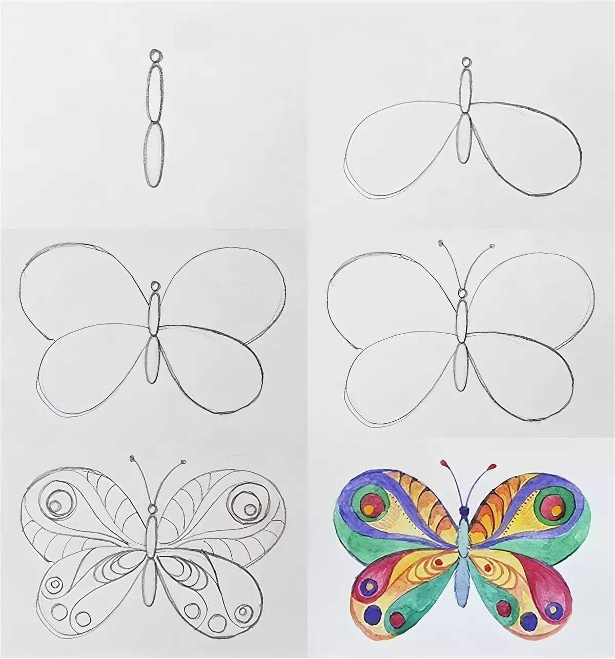 Как нарисовать бабочку? поэтапное рисование. презентация к уроку по изобразительному искусству (изо) по теме