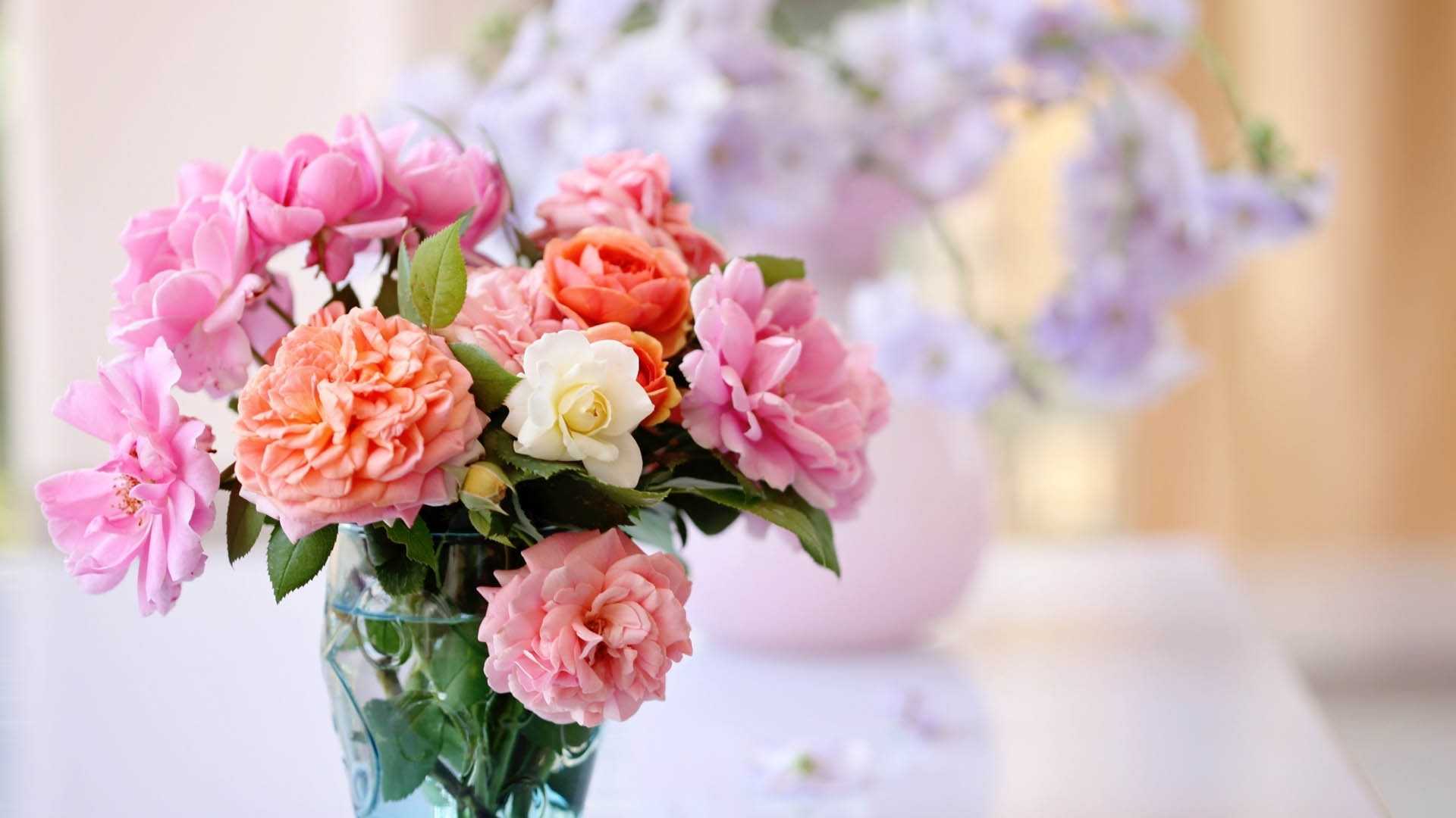 Красивые цветы (55 фото c пожеланиями для любимых). | семейная кучка