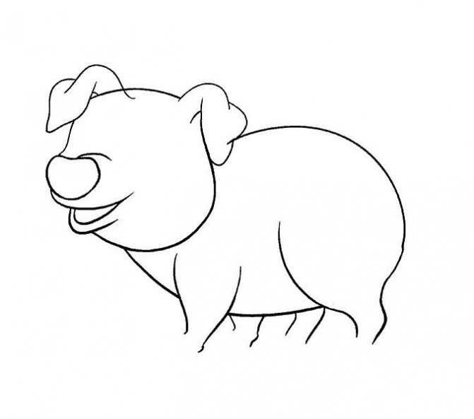 Как нарисовать свинью или поросенка быстро и просто – клуб любителей хрюш