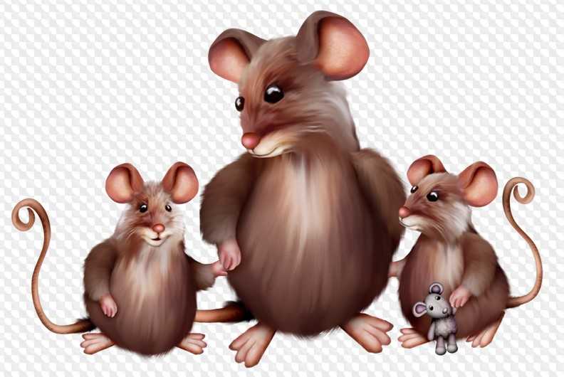 Крыса - png крыса клипарт - потрясающие бесплатные прозрачные png клипарт изображения скачать бесплатно
