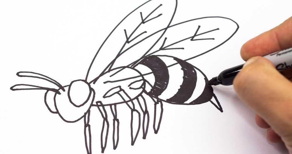 Как нарисовать пчелу: три варианта