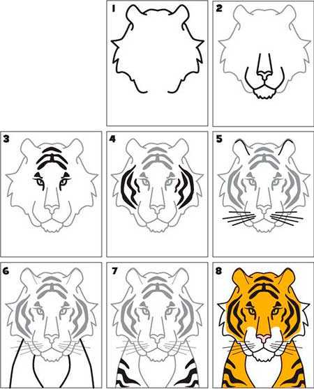 Как легко нарисовать тигра карандашом поэтапно — для детей и взрослых