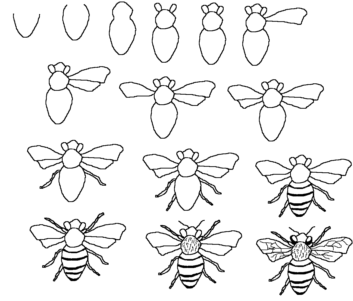 Как нарисовать пчелу  поэтапно 9 уроков