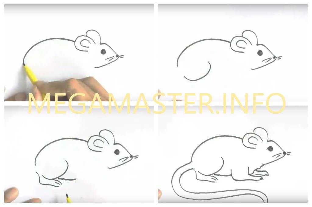 Как нарисовать мышь карандашом поэтапно для начинающих и детей? как нарисовать мордочку мышки карандашом?