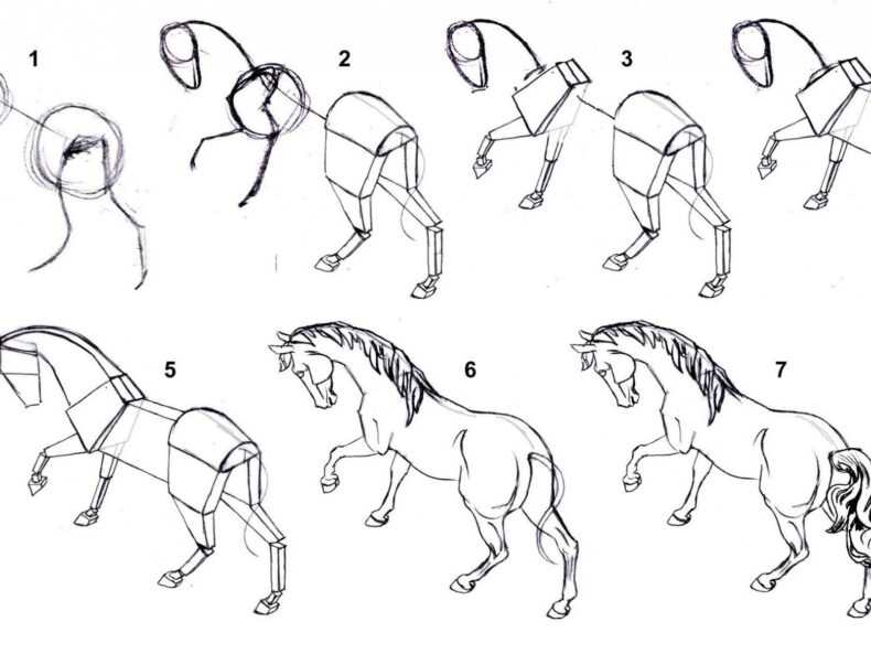 Как нарисовать лошадь карандашом: пошаговый урок для детей, учимся рисовать легко и красиво