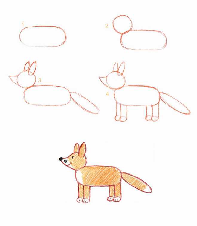 Как нарисовать лису карандашом поэтапно