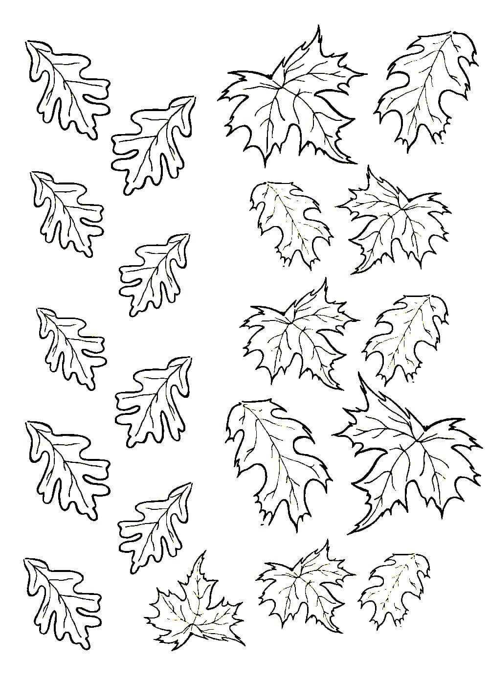 Шаблон листьев для вырезания