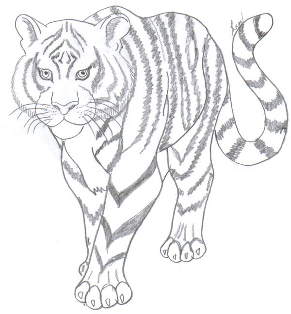 Картина панно рисунок мастер-класс рисование и живопись как очень просто нарисовать тигра бумага карандаш