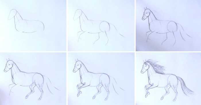 Как нарисовать лошадь карандашом поэтапно. учим ребенка рисовать красивую лошадь