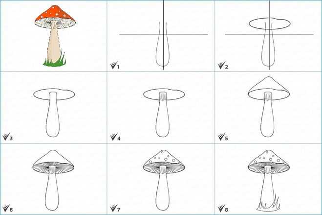 Как нарисовать гриб: основные этапы и мастер-класс от экспертов как нарисовать грибы (140 фото)