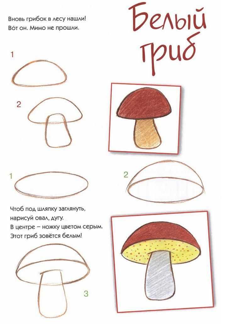 Как нарисовать гриб поэтапно карандашом: лисичку, мухомор, сыроежку. мастер-класс для начинающих от художника