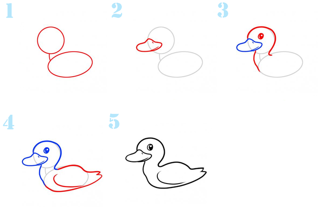 Как нарисовать утку (с иллюстрациями) - wikihow