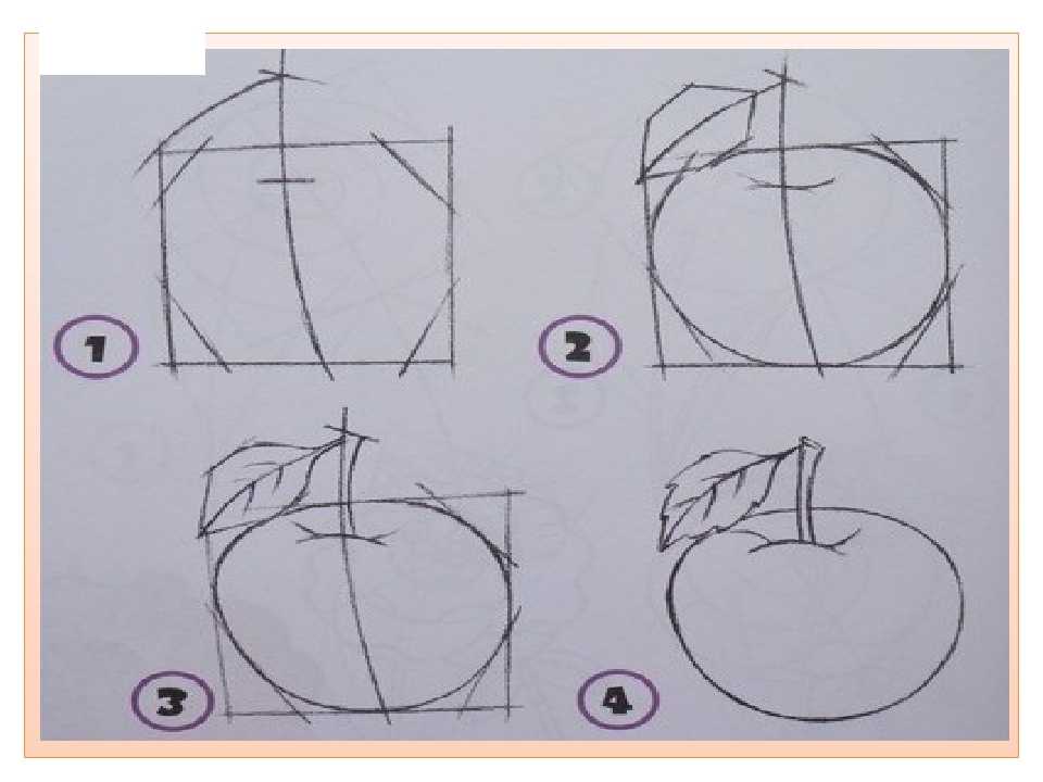 Как нарисовать яблоко карандашом (44 фото) - поэтапные мастер-классы для начинающих